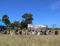 Panen Perdana Padi Nusantara 1 juta Hektar, Pj. Bupati Takalar Harap Kualitas Benih dan Pola Tanam Diperhatikan