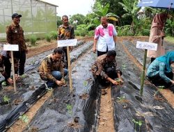 Manfaatkan Pekarangan Rumah Pj. Bupati Takalar bersama Pj. Ketua TP. PKK canangkan Gerakan Menanam Cabe dan Sayuran di Pekarangan Warga