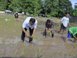 Dengarkan Keluh Kesah Petani, Pj. Bupati Takalar Ikut Tanam Padi