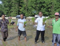 Dengarkan Keluh Kesah Petani, Pj. Bupati Takalar Ikut Tanam Padi