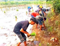 Melestarikan Tradisi, Merajut Kebersamaan: Keseruan Lomba Annanang di Porseni SMPIT Cendekia Haji Labbi
