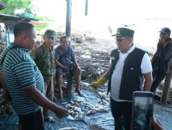 Tingkatkan PAD Takalar, Bupati Takalar akan Perbaiki Pelelangan Ikan Lamangkia