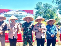 Bontobila Marbo, Menjadi Titik Panen Raya Jagung Serentak Wilayah Sulsel